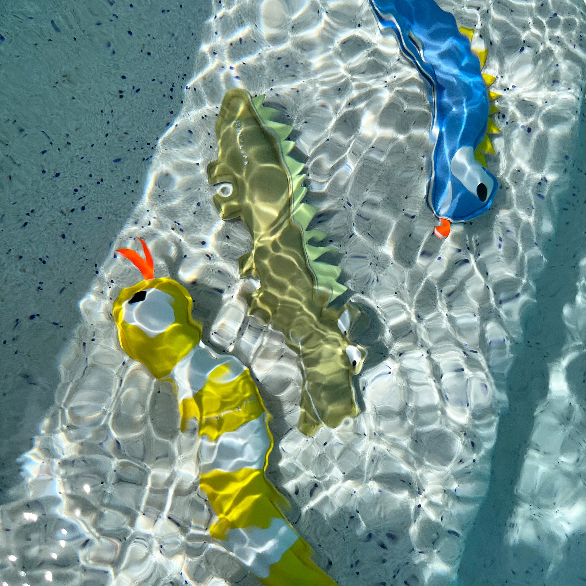 Dive Buddies - Into the Wild - Image 3