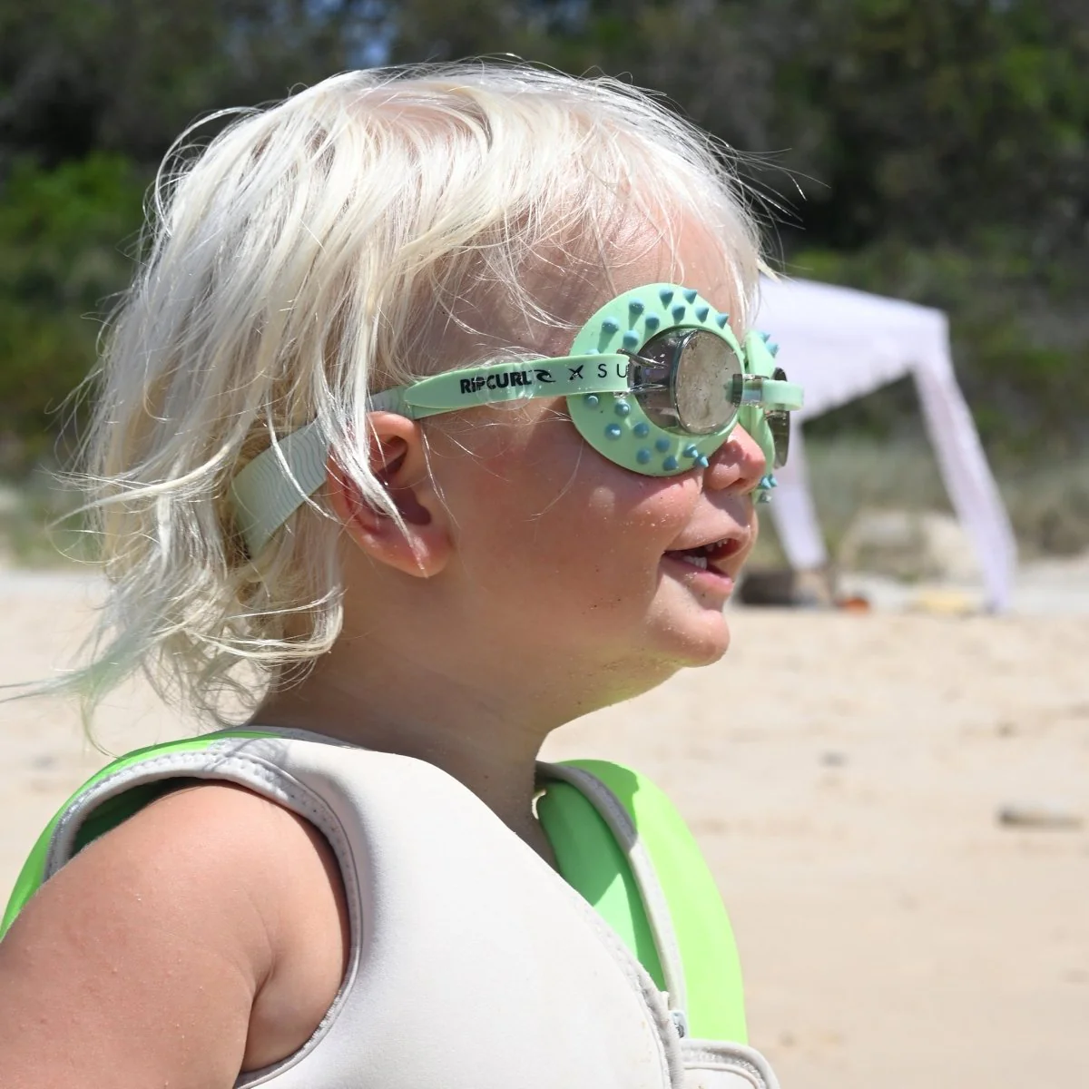 Swimming Goggles - Shred Turtle - Image 7