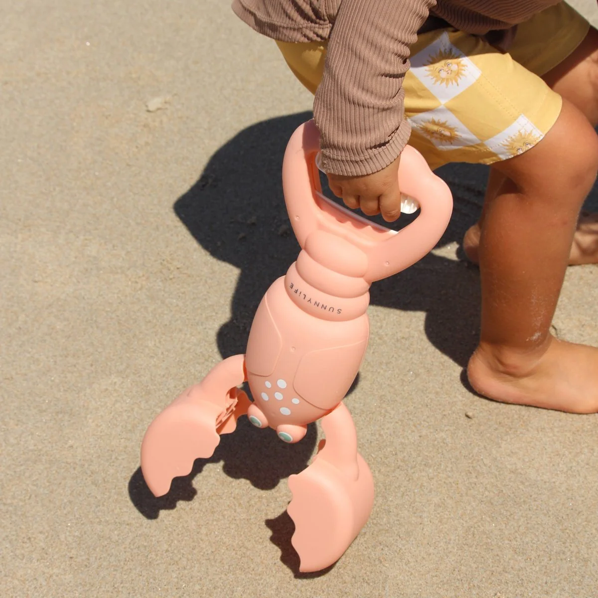 Lobster Sand Claws - Image 3