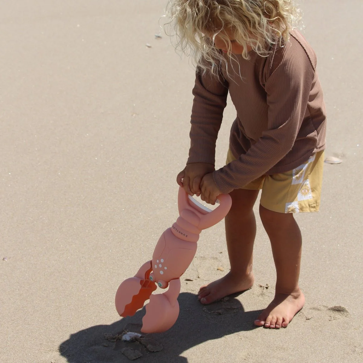 Lobster Sand Claws - Image 4