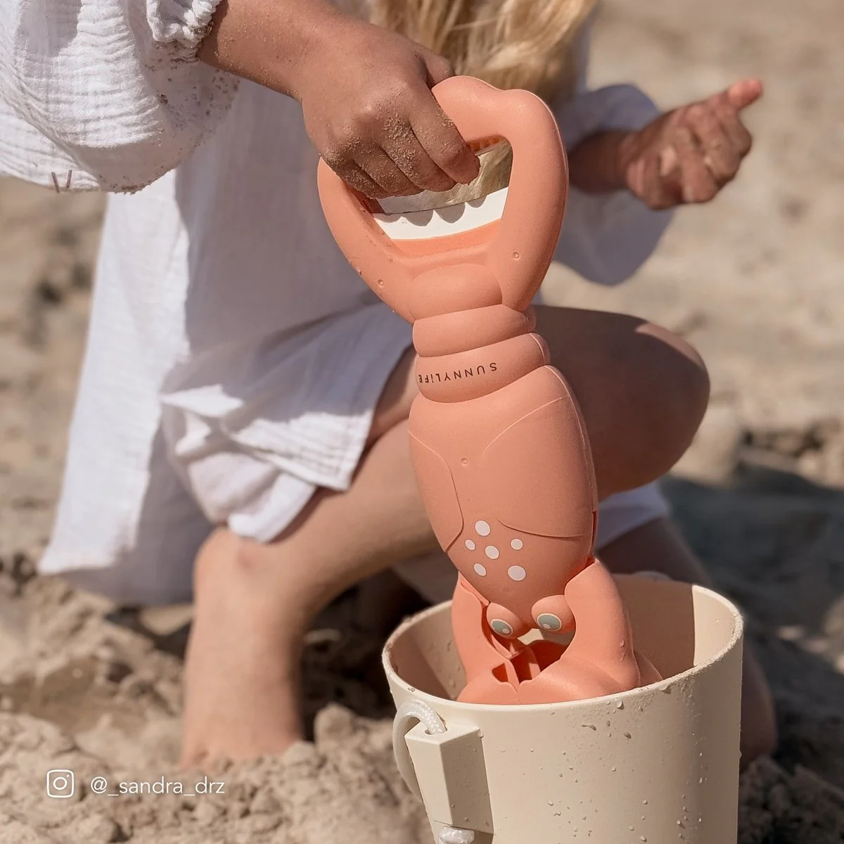 Lobster Sand Claws - Image 7