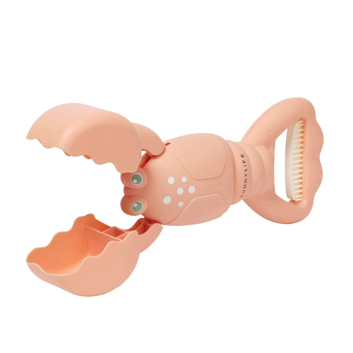 Lobster Sand Claws - Image 9